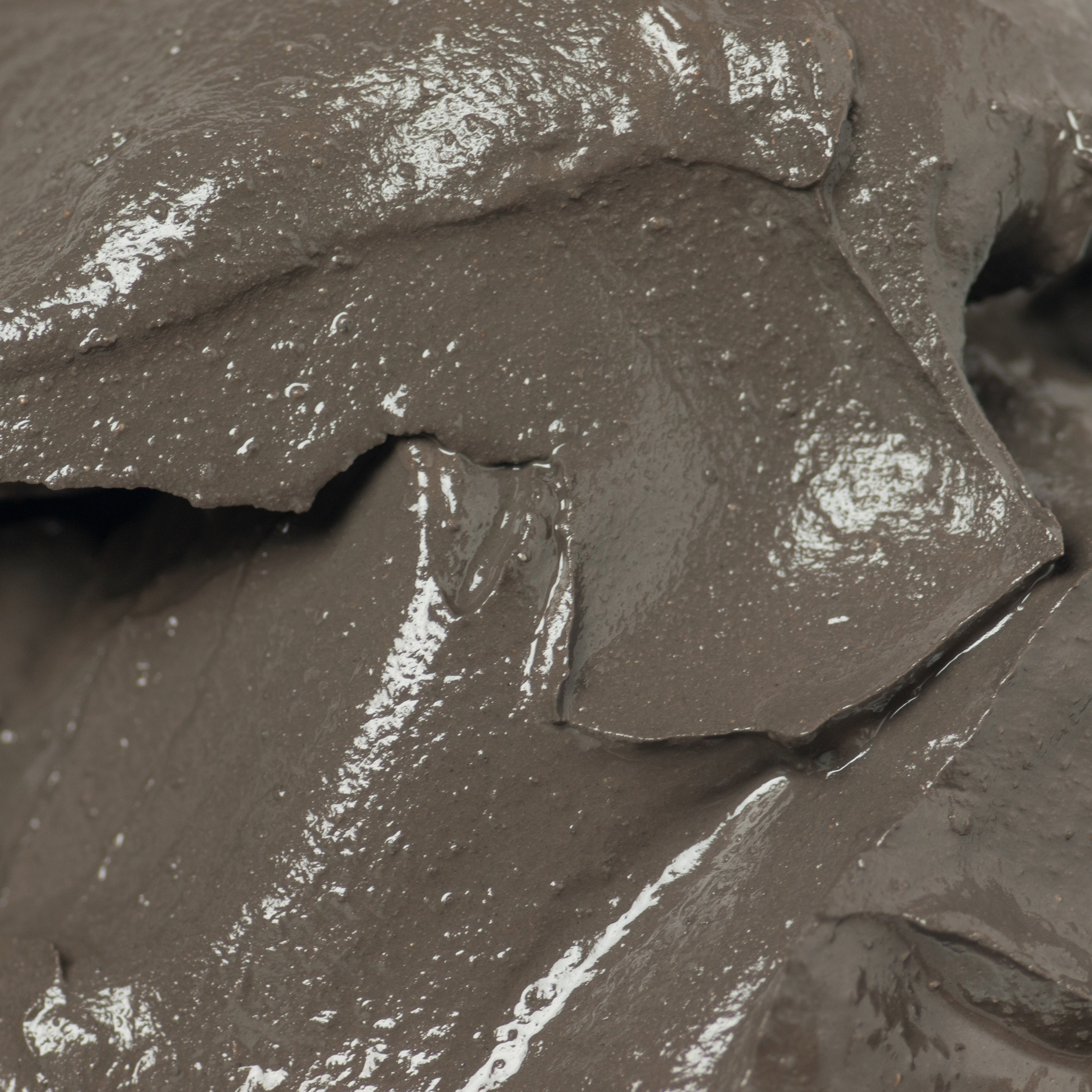Dead Sea Mud